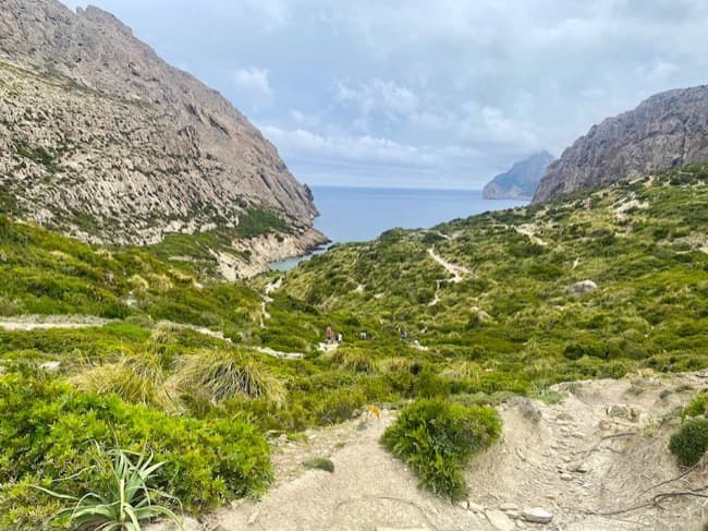 Boquer Valley Birdwatching in Mallorca