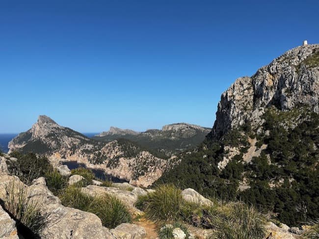 Cap de Formentor Birdwatching Paradice 